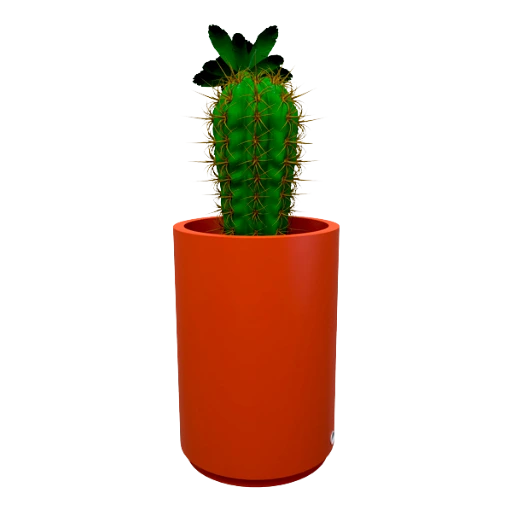 Producto 2